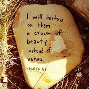 Meet your Posher, Dorothy